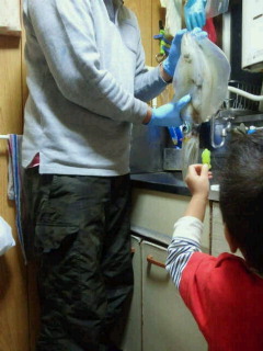 2013111418300000.jpg