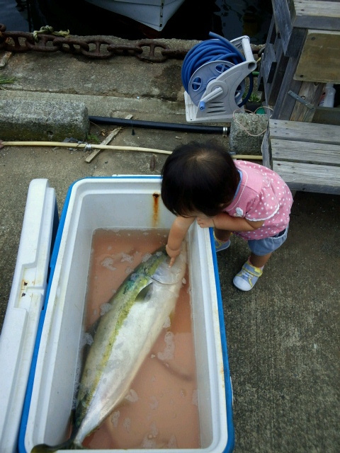2015092411530000.jpg
