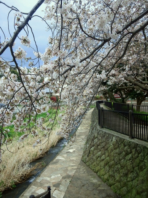2017040817230000.jpg