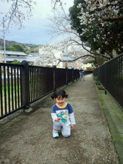 2017040817250000.jpg
