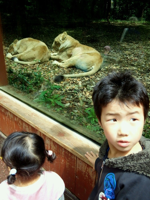 2017042909330000.jpg